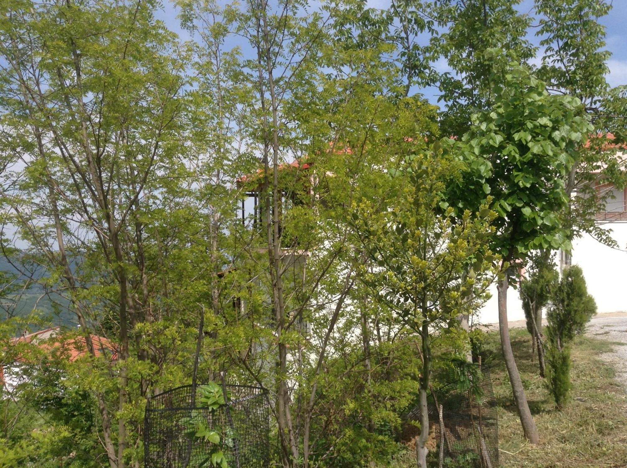 Hotel Πανδοχείο Λίμνης Πλαστήρα à Kastanéa Extérieur photo